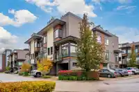 51 7811 209 STREET - thumbnail 31