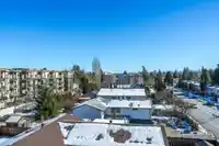 417 20175 53 AVENUE - thumbnail 29