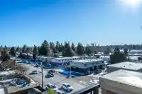 417 20175 53 AVENUE - thumbnail 30