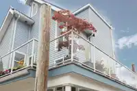 4 800 SOUTH DYKE ROAD - thumbnail 25