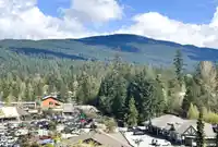704 995 ROCHE POINT DRIVE - thumbnail 34