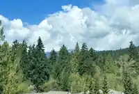 704 995 ROCHE POINT DRIVE - thumbnail 35