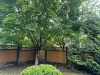 20850 84A AVENUE - thumbnail 20