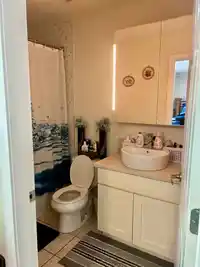 20929 HUNTER PLACE - thumbnail 13