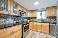 238 DAVIS CRESCENT - thumbnail 10