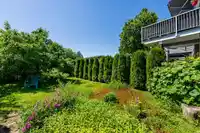 46054 THIRD AVENUE - thumbnail 27