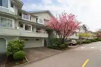 227 WATERLEIGH DRIVE - thumbnail 12