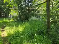 3954 198A STREET - thumbnail 6