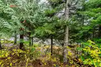 5 2240 NORDIC DRIVE - thumbnail 31