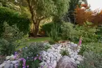 320 COCHRANE ROAD - thumbnail 33