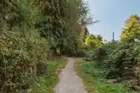 320 COCHRANE ROAD - thumbnail 36
