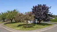26549 29B AVENUE - thumbnail 37