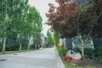 20 14955 60 AVENUE - thumbnail 33