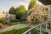 212 8450 JELLICOE STREET - thumbnail 29