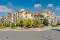 305 5020 221A STREET - thumbnail 2