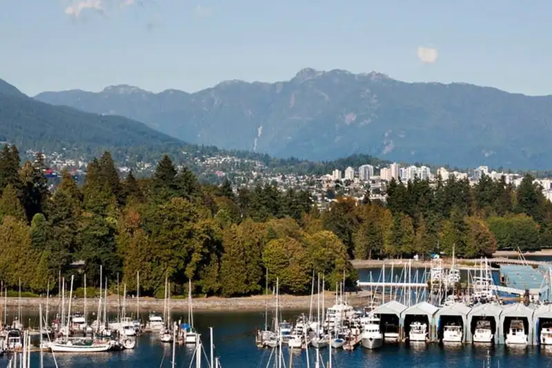 1101 1863 ALBERNI STREET - photo 4 of 32