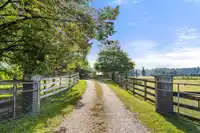 27382 84 AVENUE - thumbnail 39