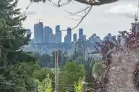 560 SPRINGER AVENUE - thumbnail 10