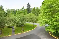 320 CORNELL WAY - thumbnail 17