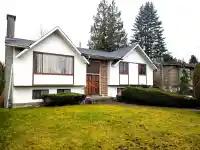 11812 85A AVENUE - thumbnail 1