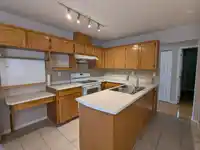 5531 OLIVER DRIVE - thumbnail 12