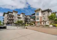 317 11935 BURNETT STREET - thumbnail 1