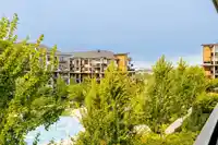306 20325 85 AVENUE - thumbnail 29