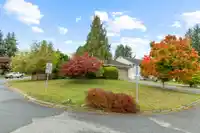 32925 ORCHID COURT - thumbnail 28