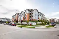 217 19945 BRYDON CRESCENT - thumbnail 1