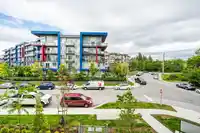 217 19945 BRYDON CRESCENT - thumbnail 19