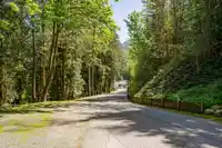 39 3942 COLUMBIA VALLEY ROAD - thumbnail 29