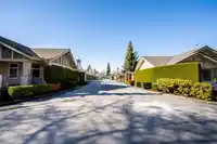 51 8555 209 STREET - thumbnail 39