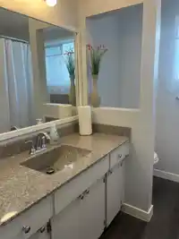 533 RUPERT STREET - thumbnail 16