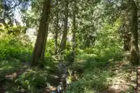 1769 272 STREET - thumbnail 39