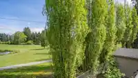 20949 52 AVENUE - thumbnail 30