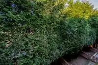 71 20460 66 AVENUE - thumbnail 22