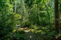 23463 DOGWOOD AVENUE - thumbnail 22
