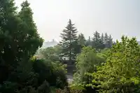 511 2101 MCMULLEN AVENUE - thumbnail 34