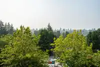 511 2101 MCMULLEN AVENUE - thumbnail 35