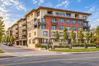 311 13919 FRASER HIGHWAY - thumbnail 16