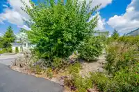 218 3665 244 STREET - thumbnail 21