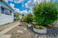 218 3665 244 STREET - thumbnail 22
