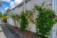 218 3665 244 STREET - thumbnail 23