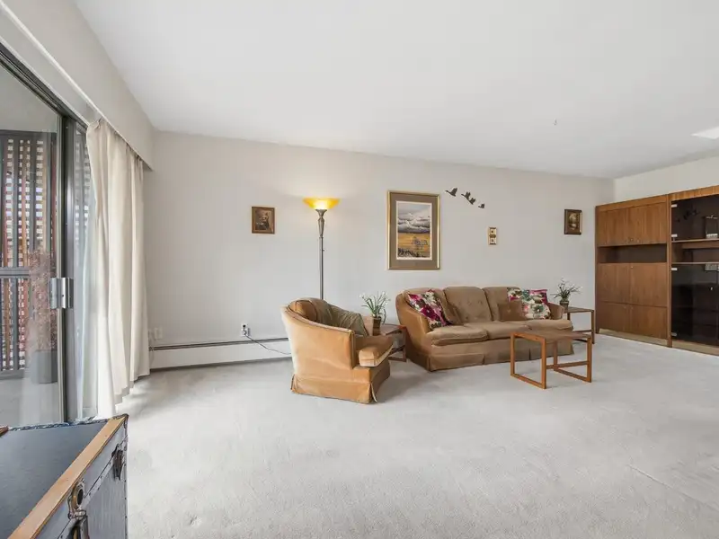 315 155 E 5TH STREET - photo 4 of 21