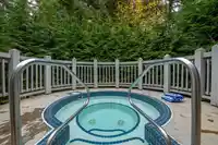 4 4661 BLACKCOMB WAY - thumbnail 23