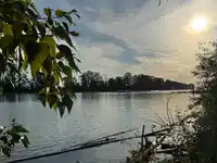 1406 3430 E KENT AVENUE SOUTH - thumbnail 33