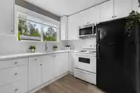 26953 ALDER DRIVE - thumbnail 33