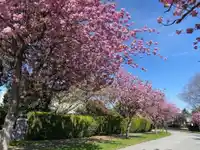 1368 MINTO CRESCENT - thumbnail 16