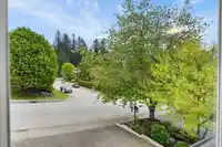 209 RAVINE DRIVE - thumbnail 40