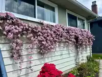 462 W 26TH STREET - thumbnail 5